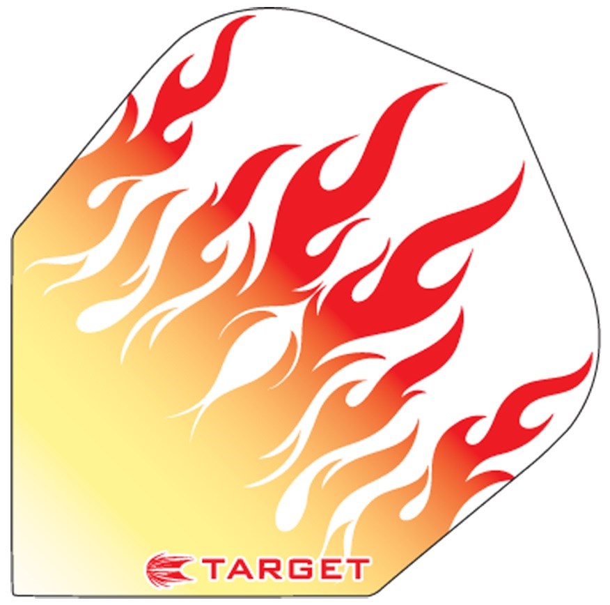 View Target Pro100 Vision